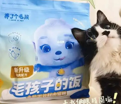 粮！三只松鼠靠什么重返宠物食品赛道麻将胡了模拟器零食巨头盯上毛孩子口