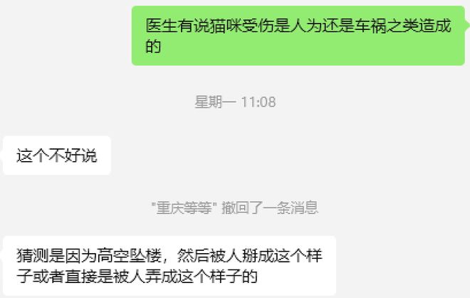 到一只奇形怪状的蓝猫结果真相是…PG电子麻将胡了太造孽了！网上刷(图6)