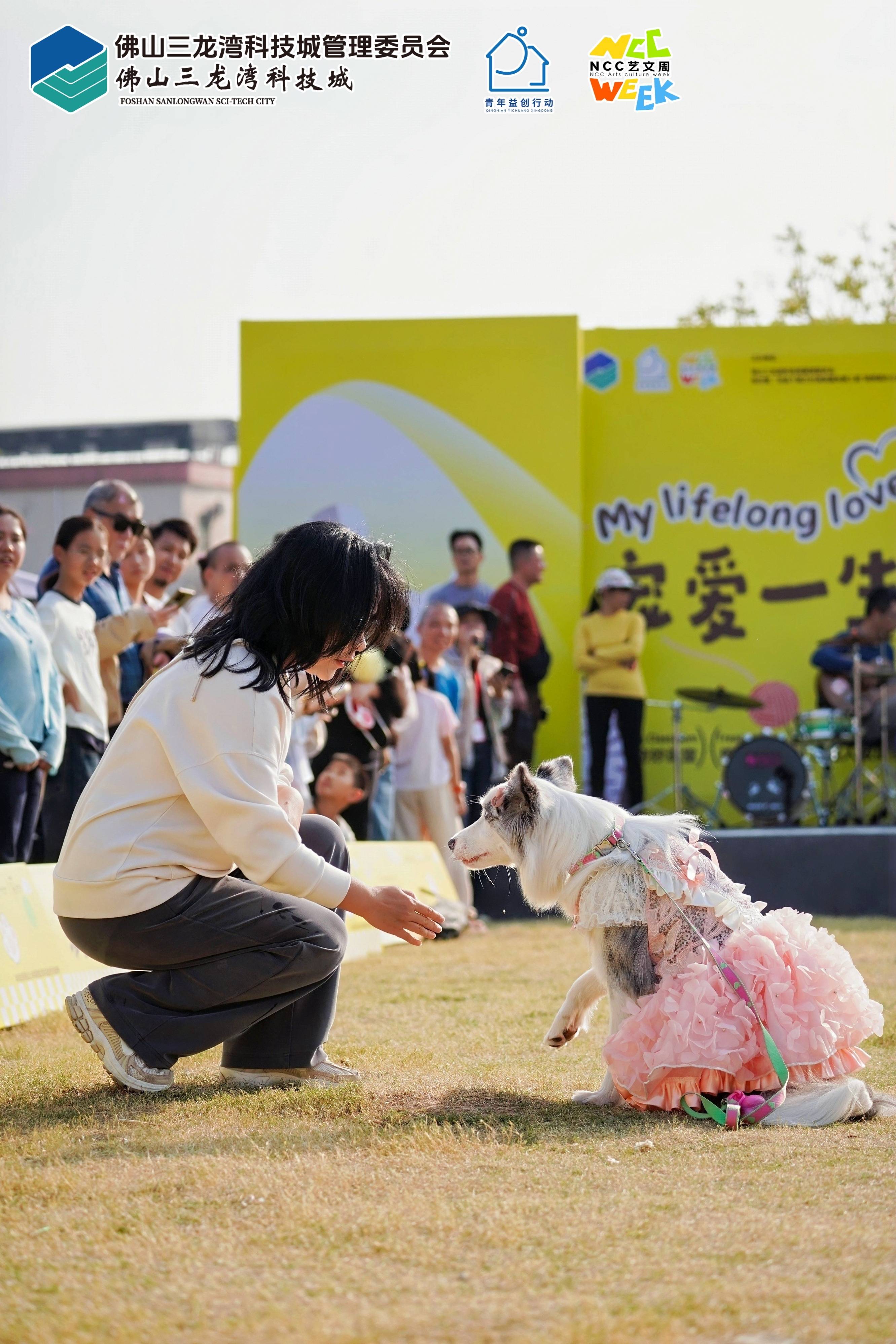 它经济”陈村抢滩布局麻将胡了2游戏入口“