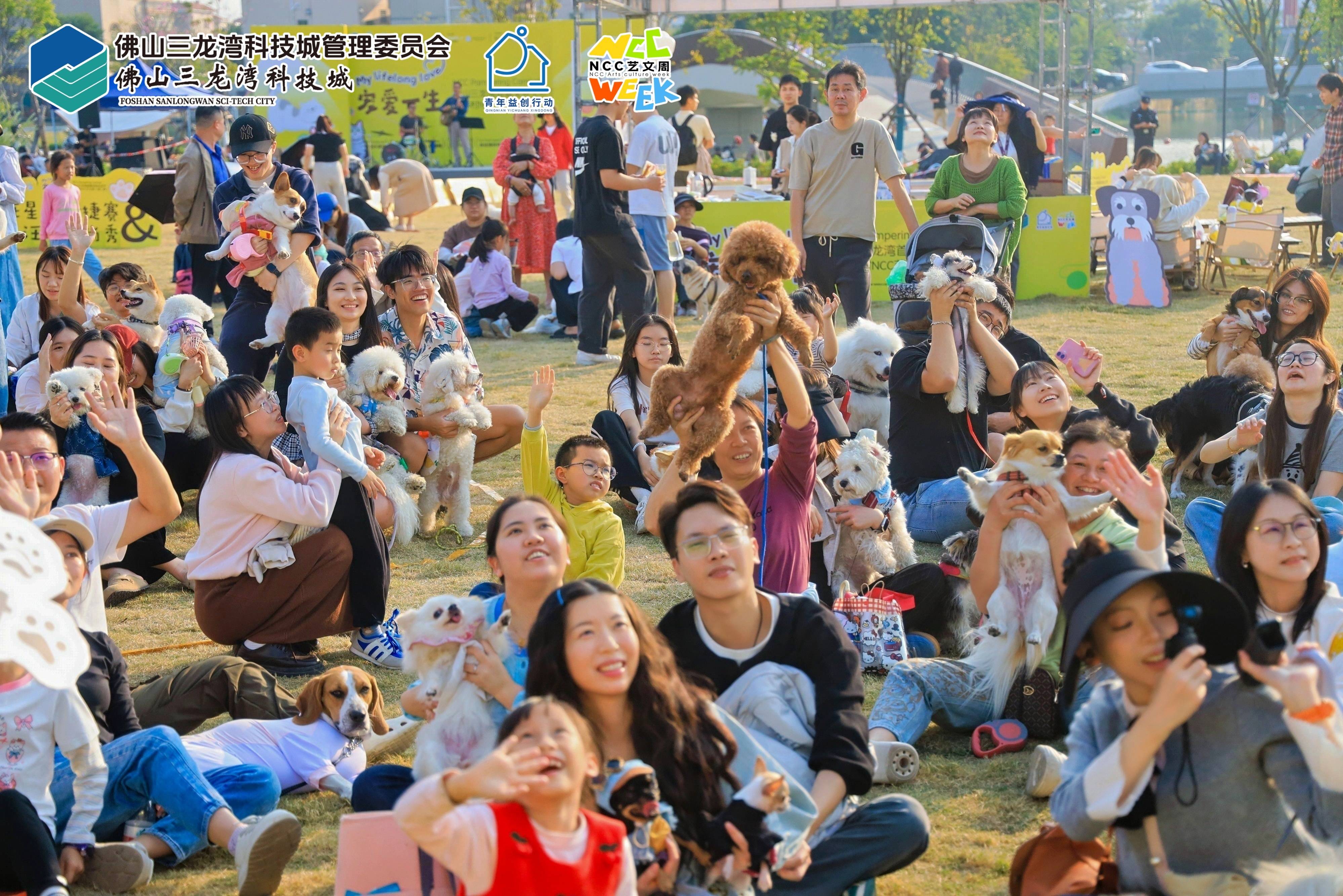 它经济”陈村抢滩布局麻将胡了2游戏入口“(图2)