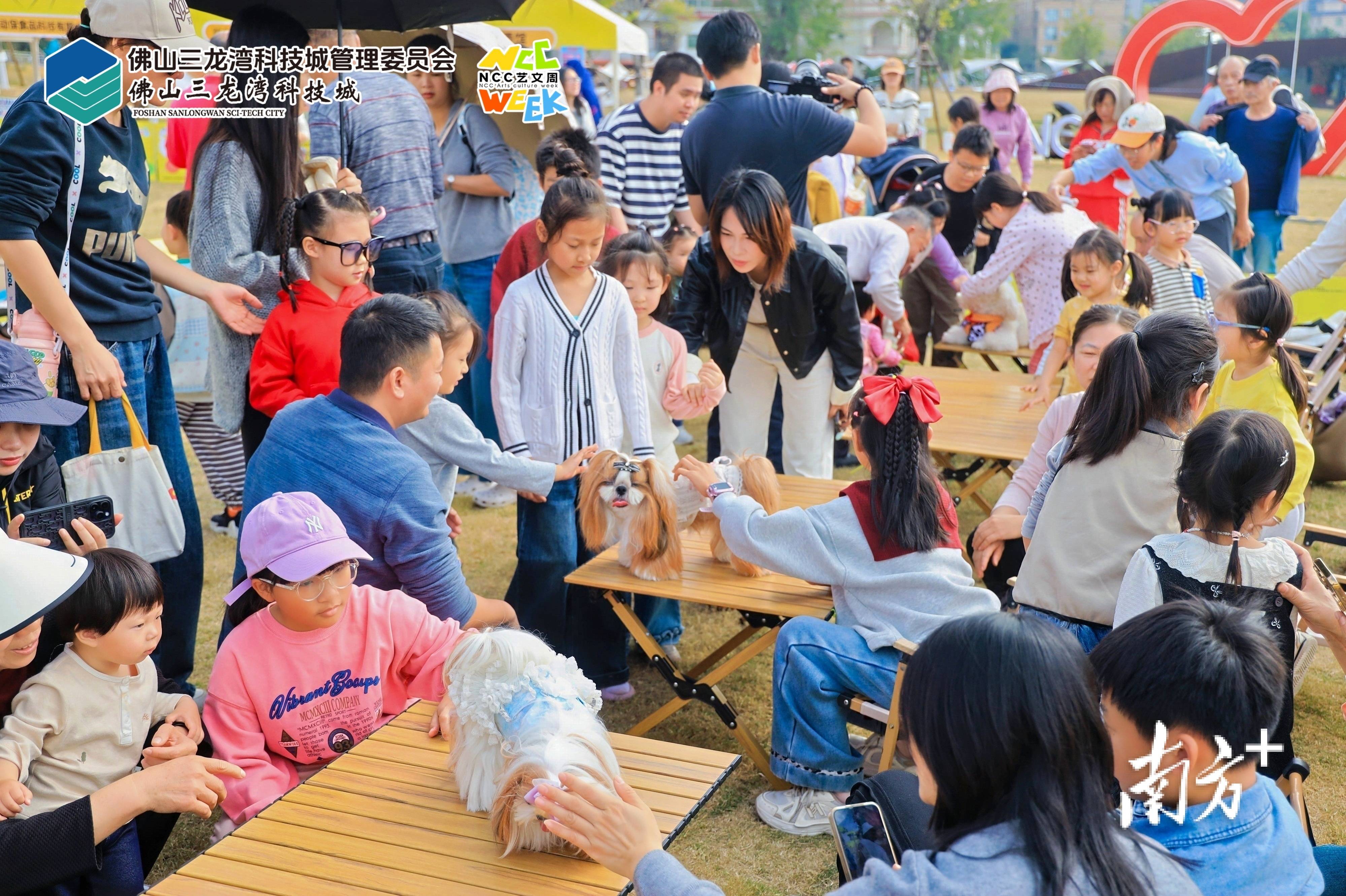 它经济”陈村抢滩布局麻将胡了2游戏入口“(图3)