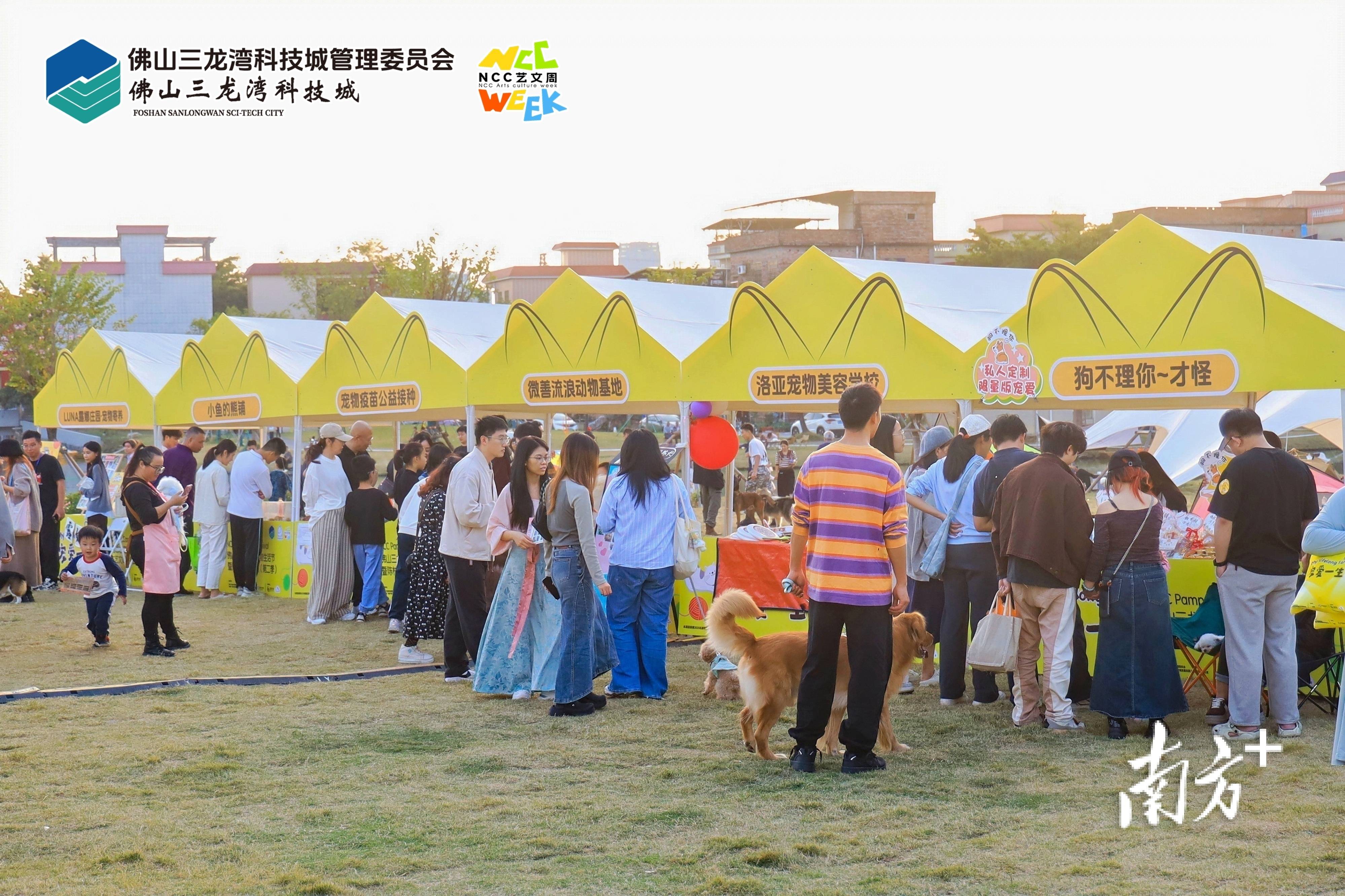 它经济”陈村抢滩布局麻将胡了2游戏入口“(图4)