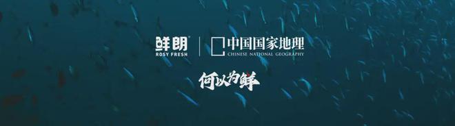 布国内首个《鲜肉烘焙全价宠物食品》标准麻将胡了免费试玩从开创到引领：鲜朗发(图11)