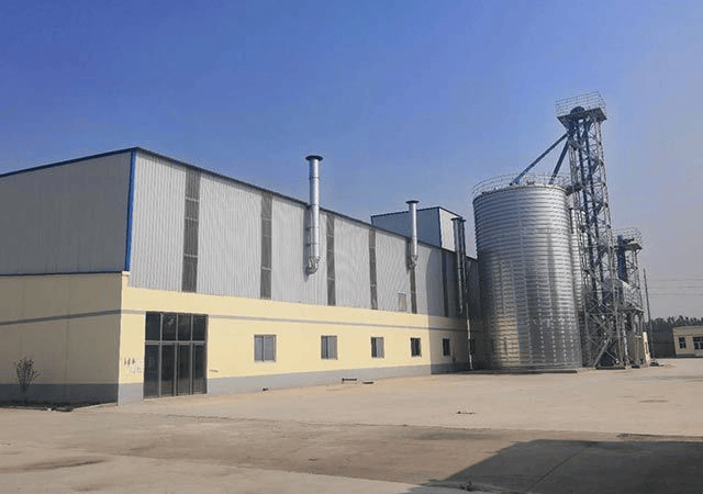 物领衔猫粮狗粮猫粮狗粮全价全价成成犬粮幼